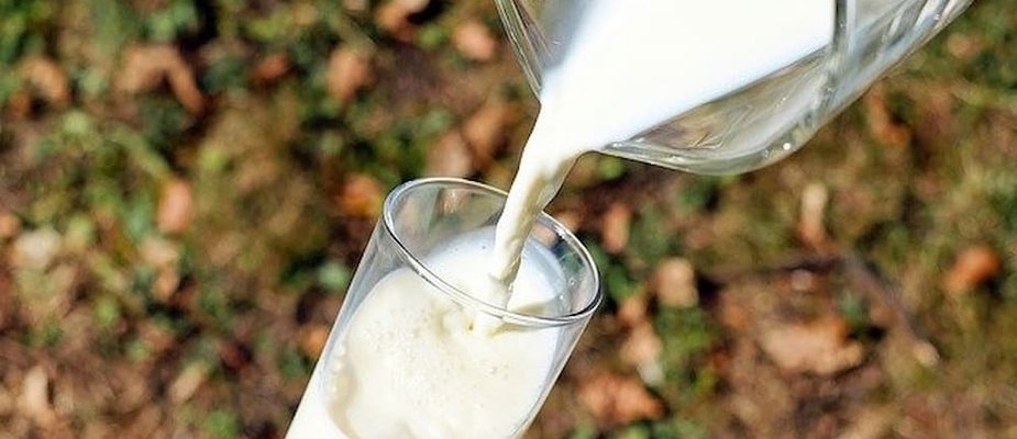 Como regular a temperatura do resfriador de leite