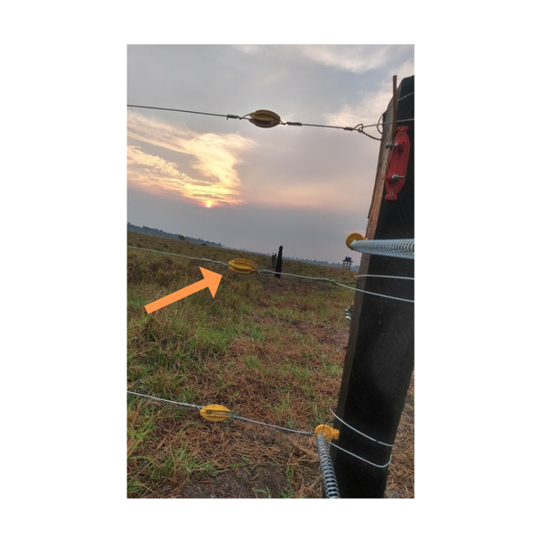 isolador de cerca eletrica tipo castanha agropeperi ordenha 3