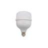 lampada led bulbo t100 40w autovolt 6500k e27 agropeperi ordenha 2