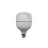 lampada led bulbo t100 40w autovolt 3200k e27 agropeperi ordenha 5