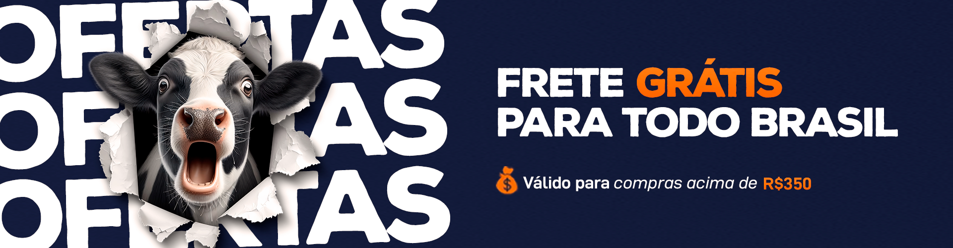 Frete GRÁTIS para todo Brasil! *Válido para compras acima de R$ 350,00