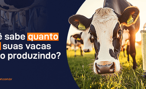 banner blog agropeperi